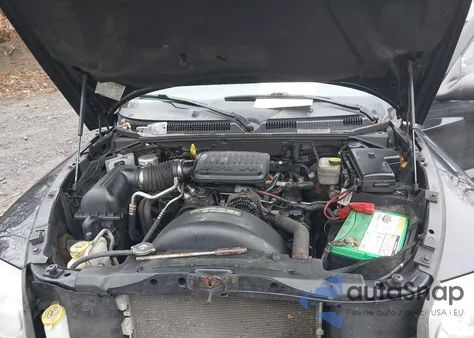 2006 Dodge Dakota St z USA, uszkodzony, nr VIN 1D7HW28KX6S636978